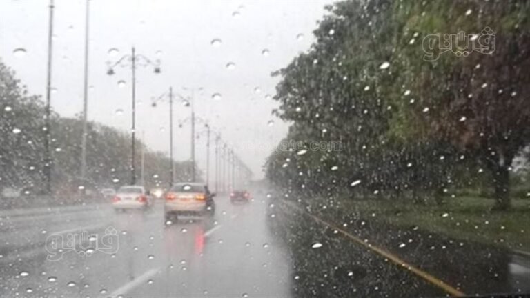 دعاء النبي صلى الله عليه وسلم عند نزول المطر